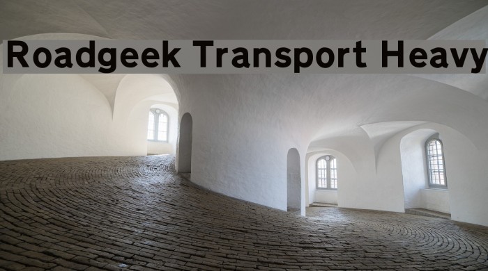 Roadgeek Transport Heavy Font examples