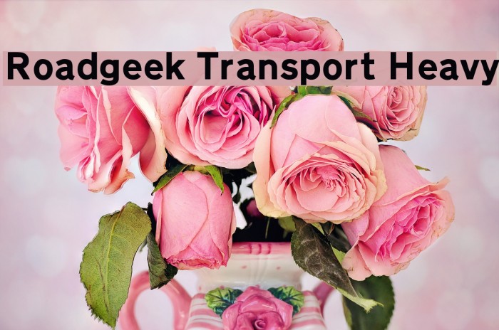 Roadgeek Transport Heavy Font examples