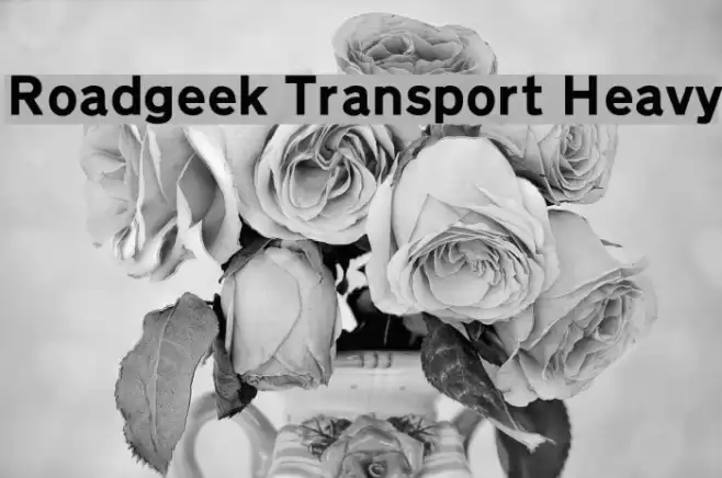 Roadgeek Transport Heavy Font examples