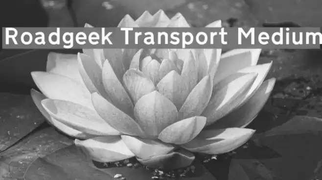 Roadgeek Transport Medium Font examples