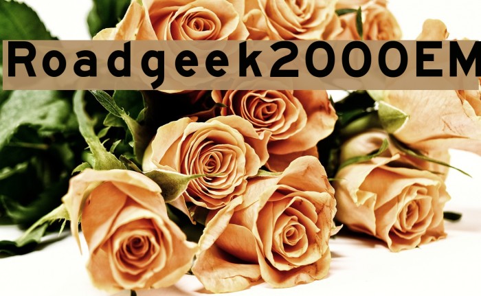 Roadgeek2000EM Font examples