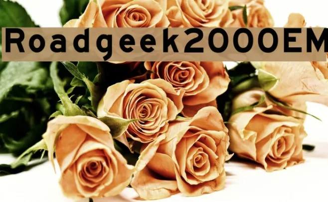 Roadgeek2000EM Example 3