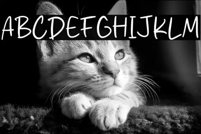 Roading Night Font examples