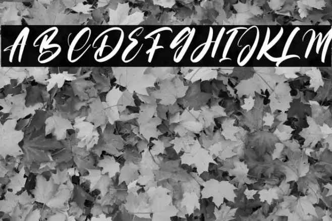 Roadistic Font examples