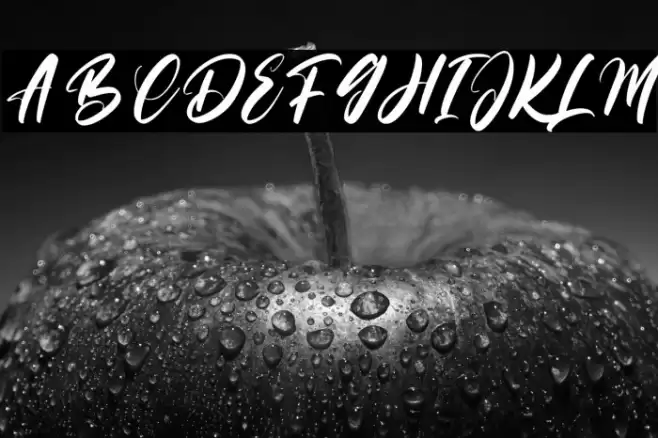 Roadistic Font examples