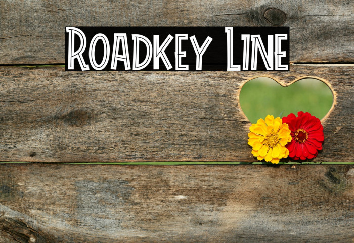 Roadkey Line Polices examples