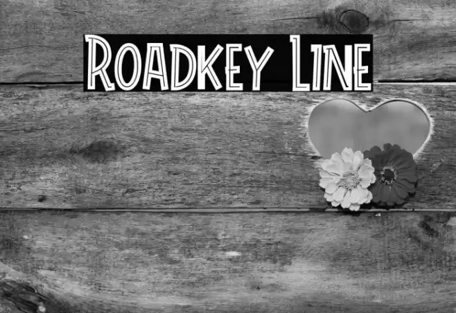 Roadkey Line フォント examples