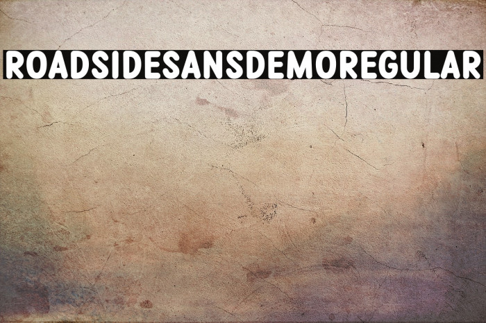 Roadside Sans Demo Regular Example 2