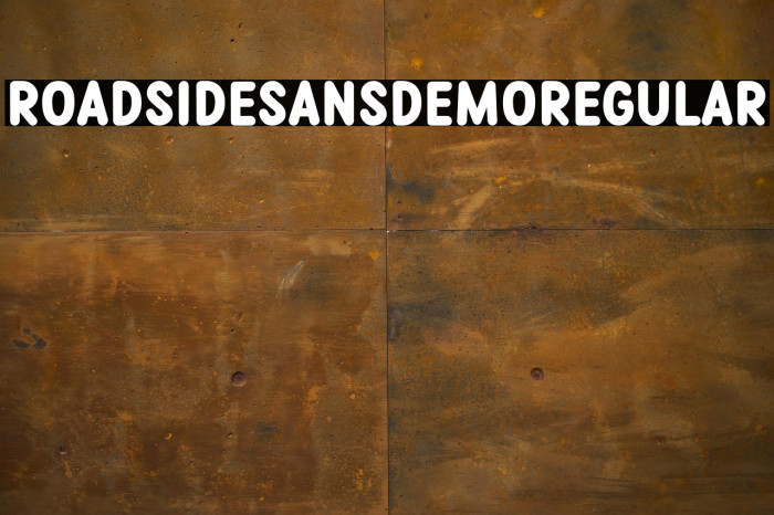 Roadside Sans Demo Regular Example 3