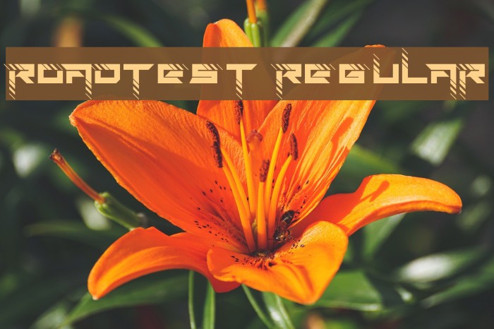 Roadtest Regular Example 3