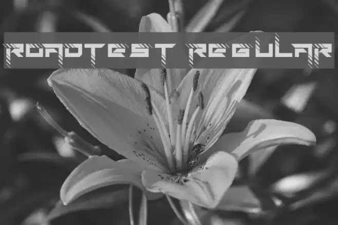 Roadtest Regular Font examples