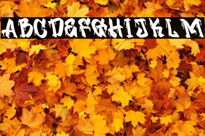 Roadway Personal Use Example 1