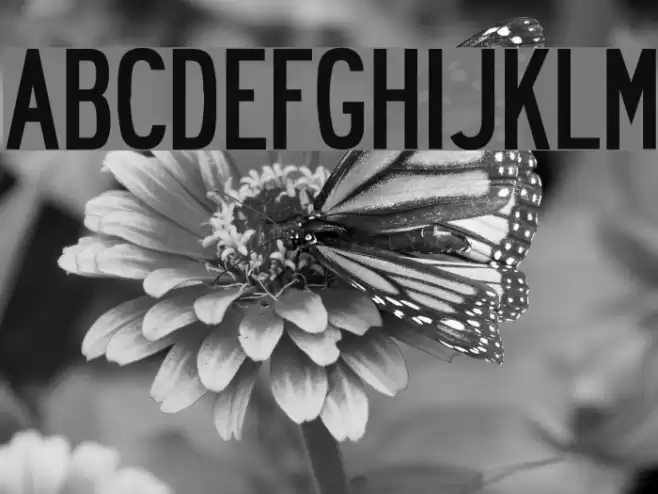 Roadway Font examples