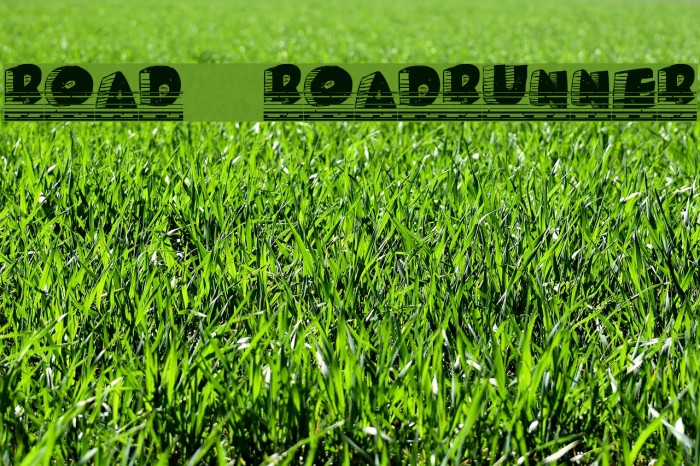 Roady Roadrunner フォント examples
