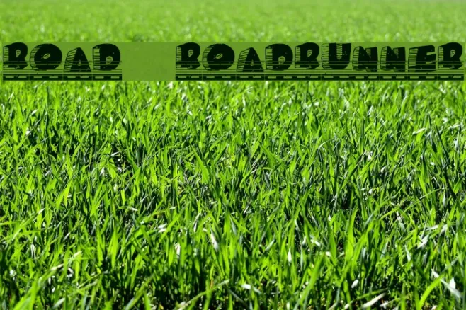 Roady Roadrunner Example 2