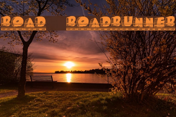 Roady Roadrunner フォント examples