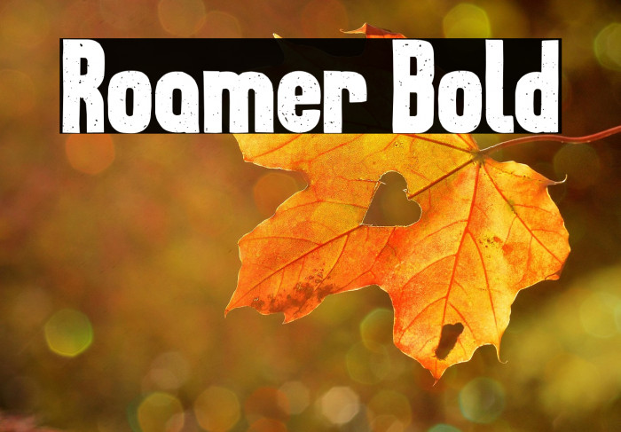 Roamer Bold Example 1