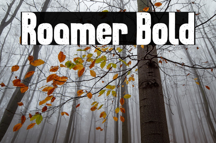 Roamer Bold Example 2