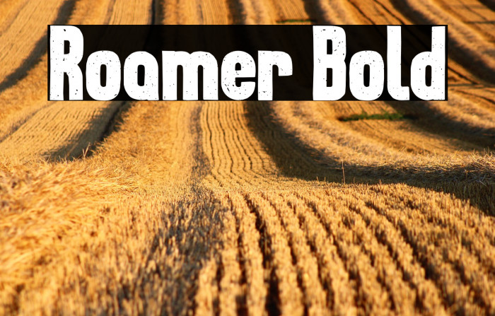 Roamer Bold Example 3