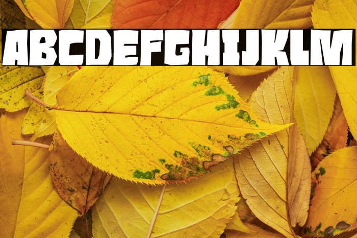 Roaring Jungle Example 1