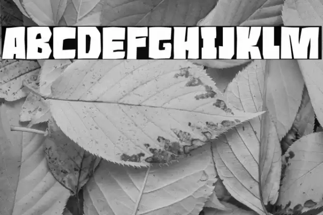 Roaring Jungle Font examples