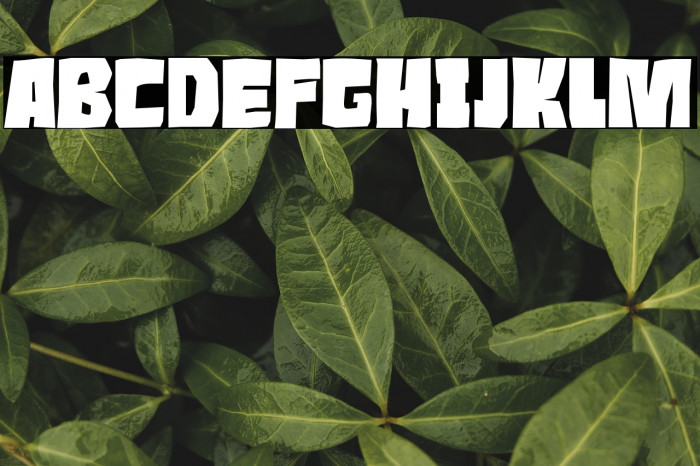 Roaring Jungle Example 3