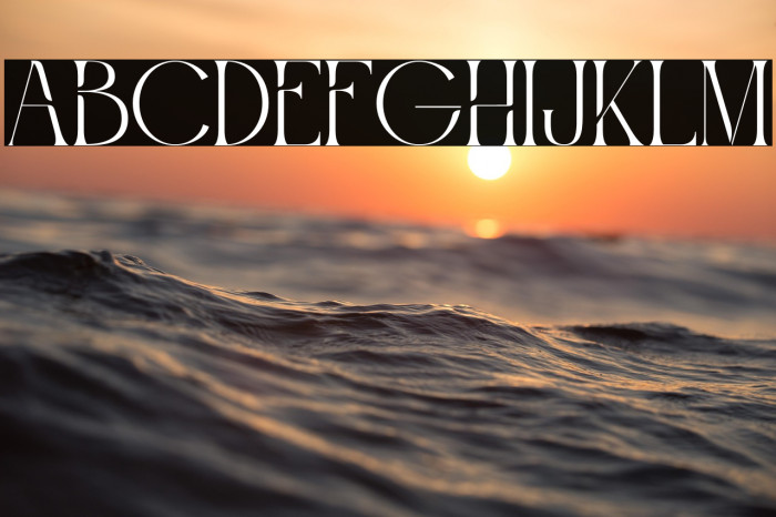 Roashe Personal Use Example 1