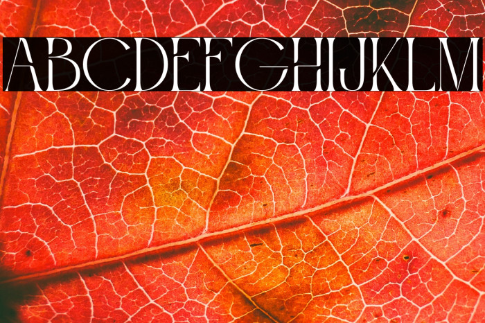 Roashe Personal Use Example 2