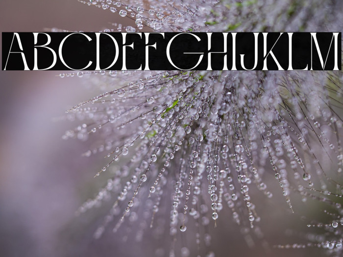 Roashe Personal Use Example 3