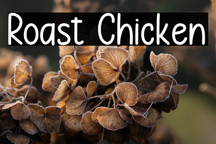 Roast Chicken Example 1