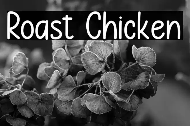 Roast Chicken Font examples