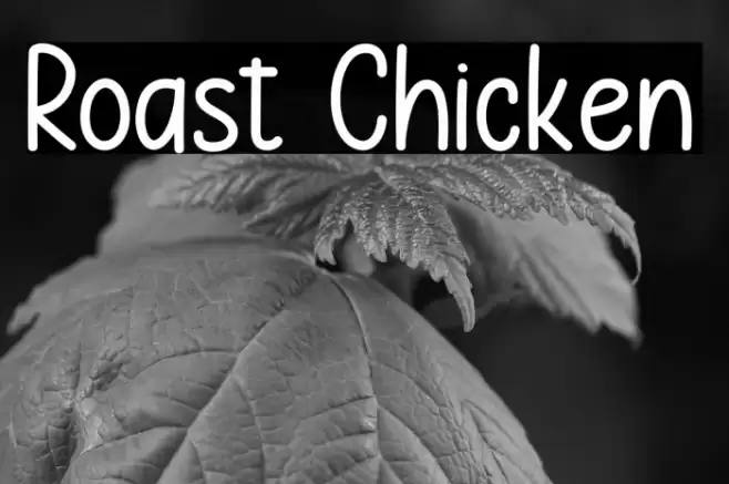 Roast Chicken Font examples