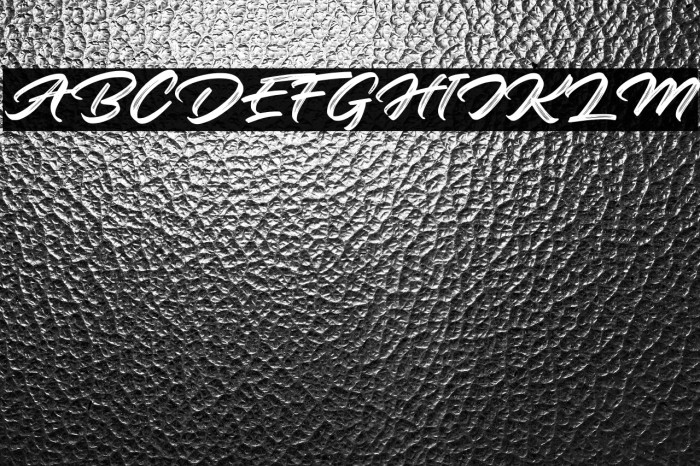 Roaster Brush Personal Use Example 1