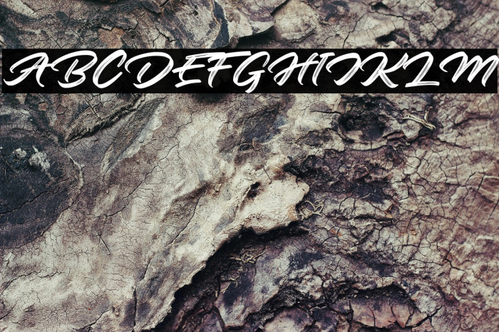 Roaster Brush Personal Use Example 2