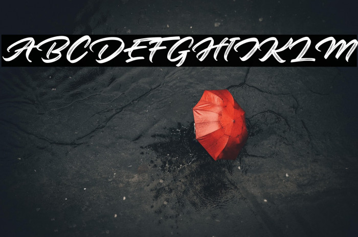 Roaster Brush Personal Use Example 3