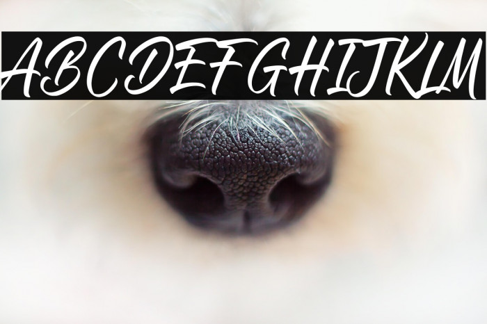 Roasting Script Example 3