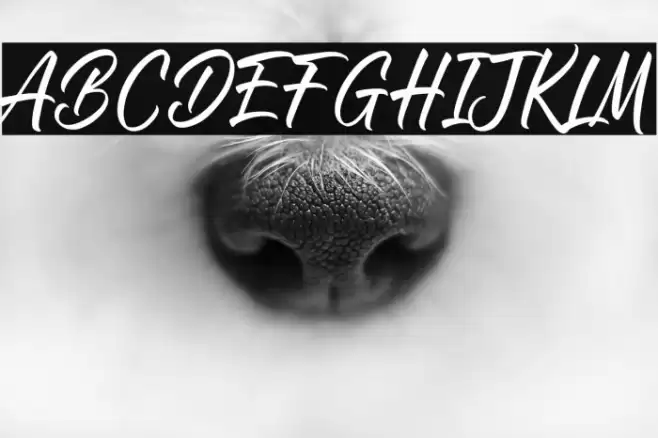 Roasting Script Font examples