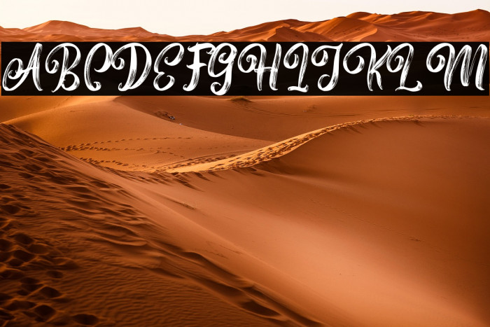 RoastteryFreePersonalUse Example 3