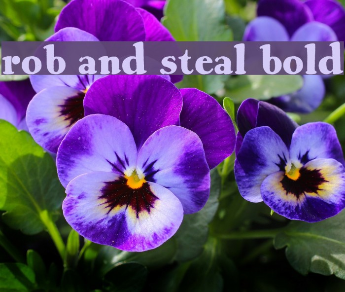 Rob and Steal Bold Schriftart examples
