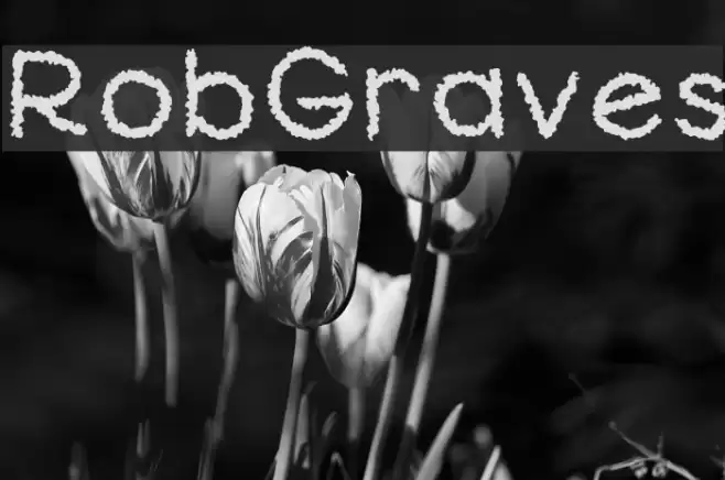 RobGraves Font examples