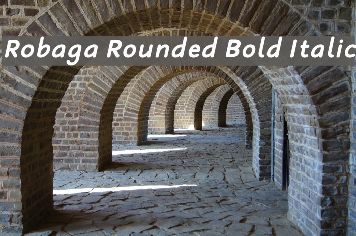 Robaga Rounded Bold Italic Font examples