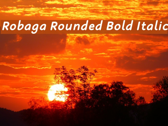 Robaga Rounded Bold Italic Font examples