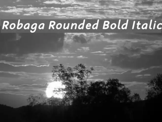 Robaga Rounded Bold Italic examples