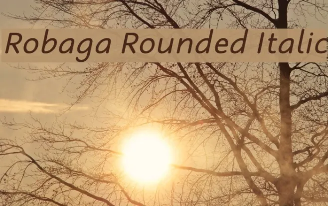 Robaga Rounded Italic Example 1