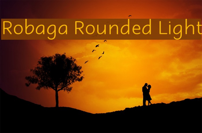 Robaga Rounded Light Font examples