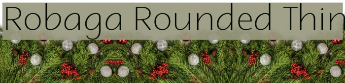 Robaga Rounded Thin Font examples