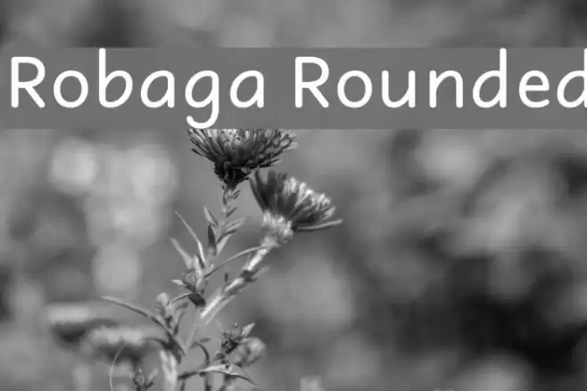 Robaga Rounded Font examples