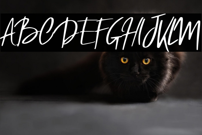 Robb Regular Example 1