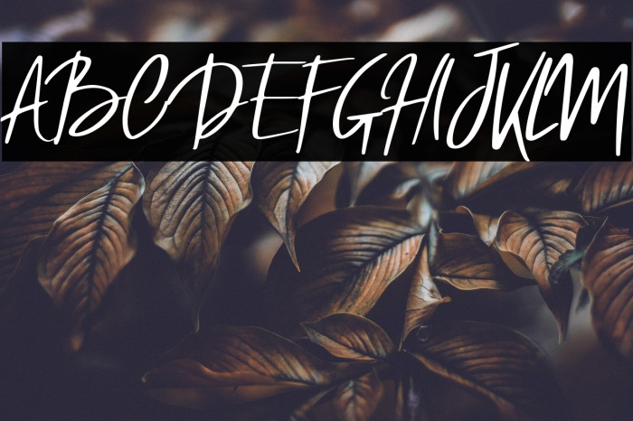 Robb Regular Example 2