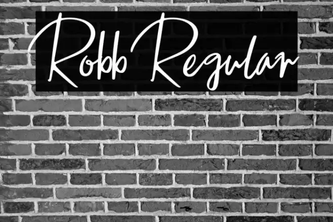 Robb Regular Font examples